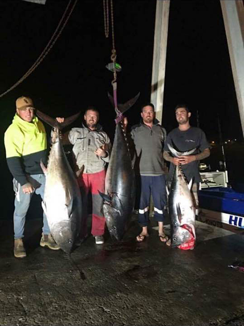ANGLER: SPECIES: SBT WEIGHT: 94.5kg, 75.4kg and 30.5kg LURE: JB Little Dingos.